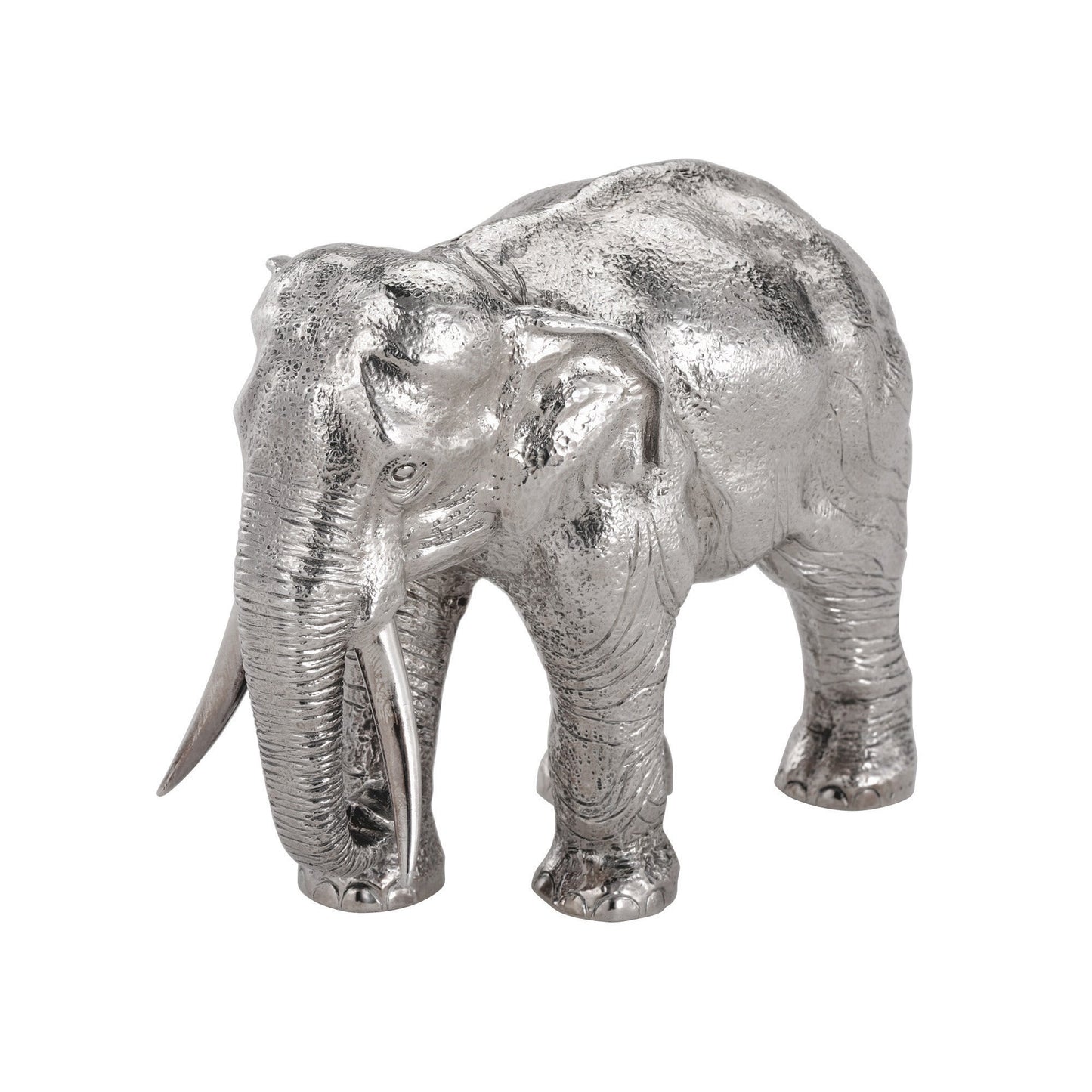 Indian Elephant (Medium)